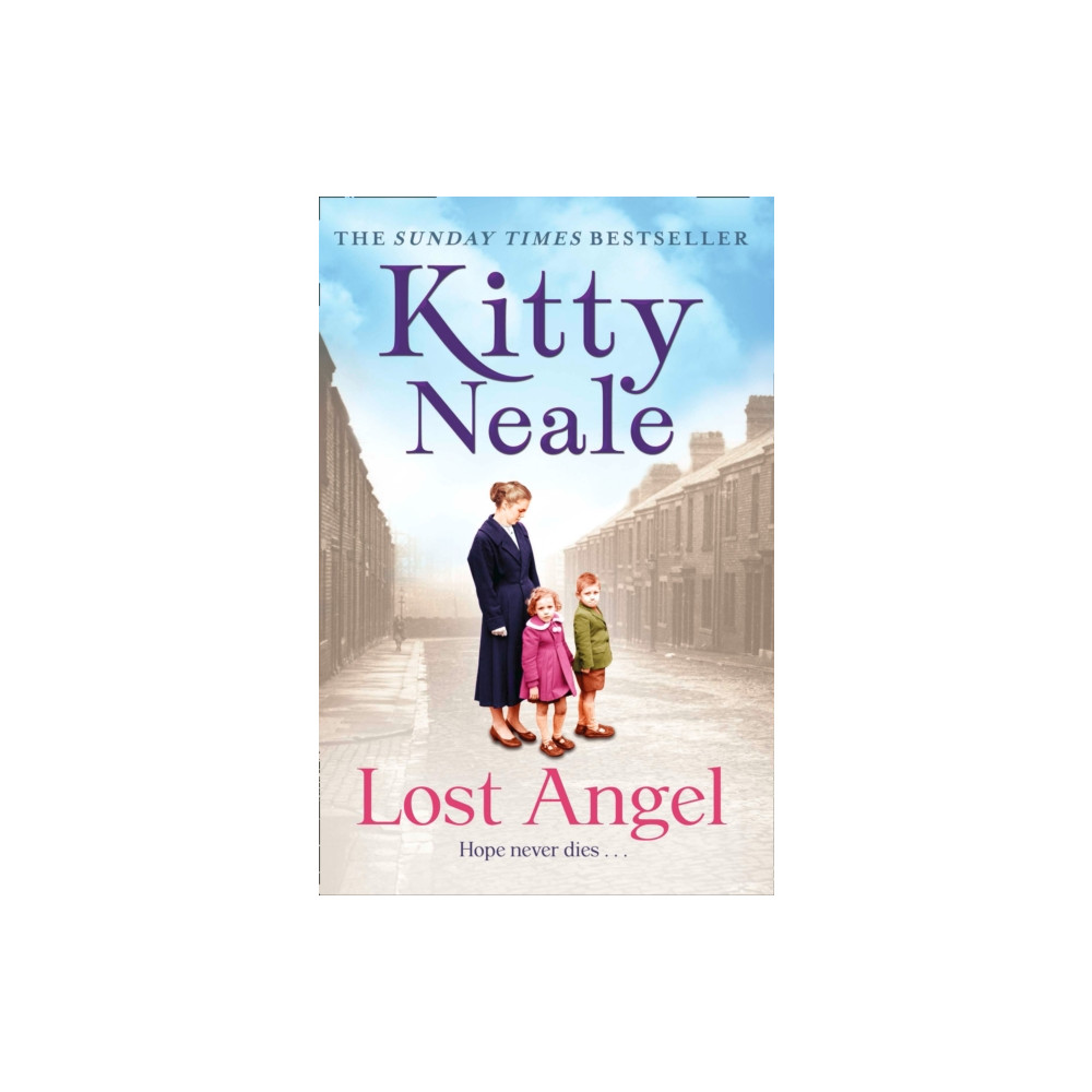 Produktbild för The Lost Angel (häftad, eng)