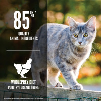 Produktbild för Original Cat Torrfoder för katt 17kg