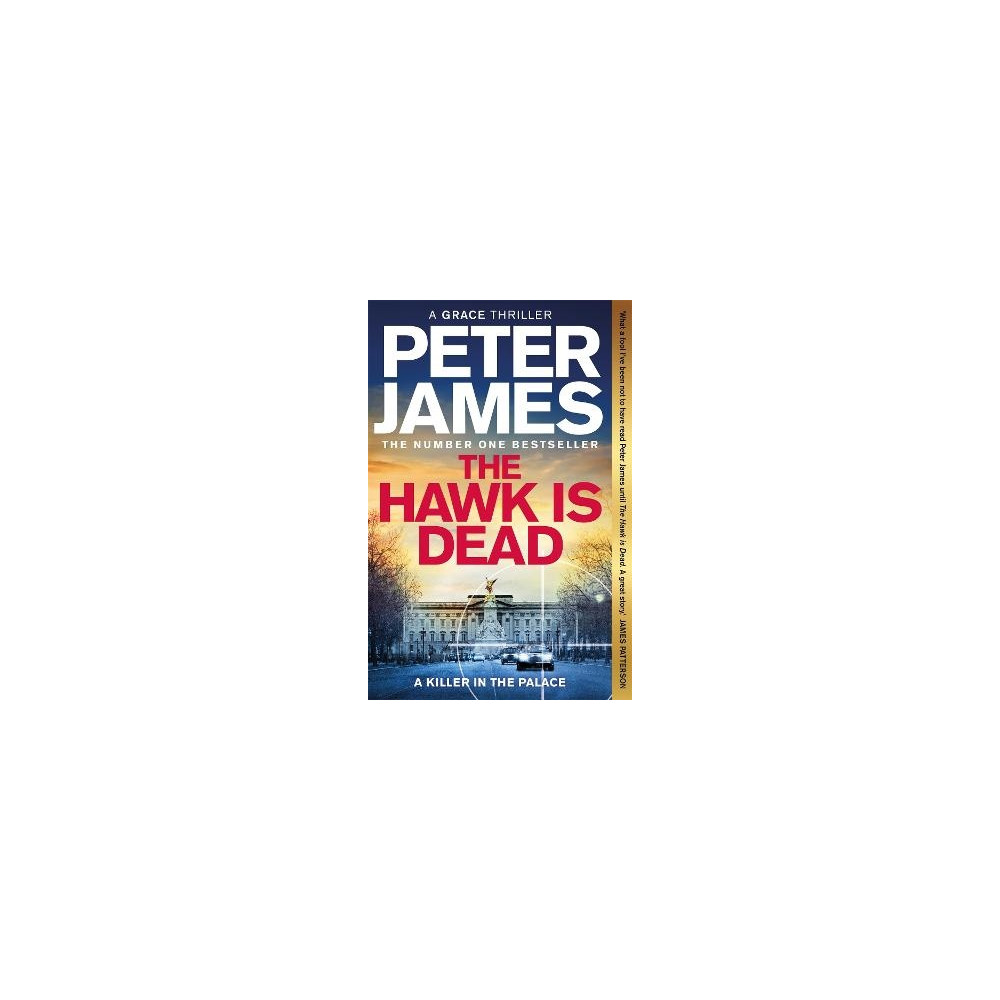 Produktbild för The Hawk Is Dead (pocket, eng)
