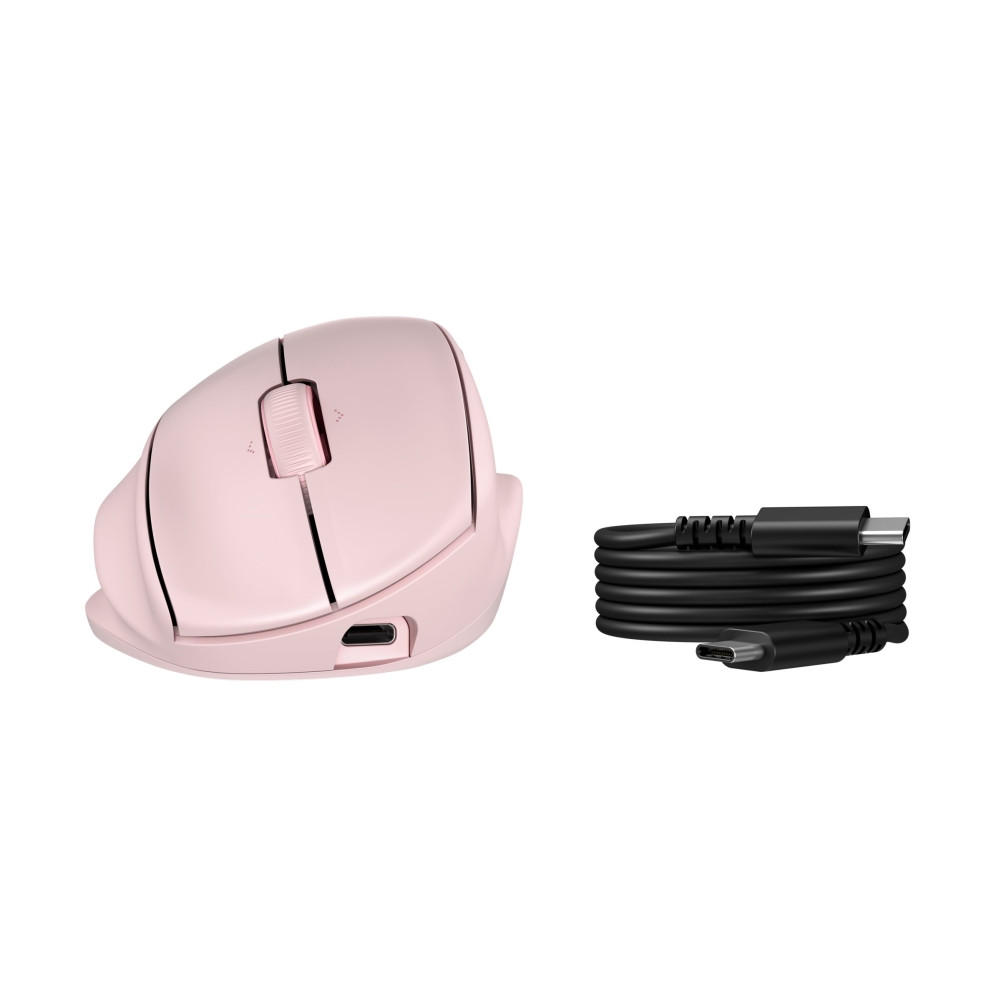 Produktbild för HP 725M - mus - 21° semi-vertikal lutning - Bluetooth, 2.4 GHz - svart