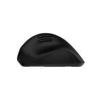 Produktbild för HP 725M - mus - 21° semi-vertikal lutning - Bluetooth, 2.4 GHz - svart
