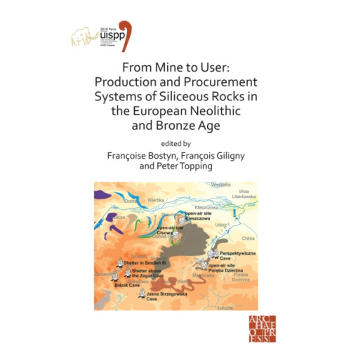 Archaeopress From Mine to User: Production and Procurement Systems of Siliceous Rocks in the European Neolithic and Bronze Age (häftad, eng)