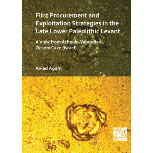 Archaeopress Flint Procurement and Exploitation Strategies in the Late Lower Paleolithic Levant (häftad, eng)