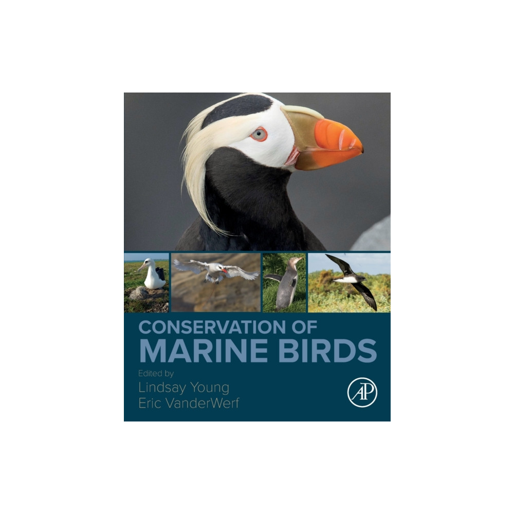Produktbild för Conservation of Marine Birds (häftad, eng)