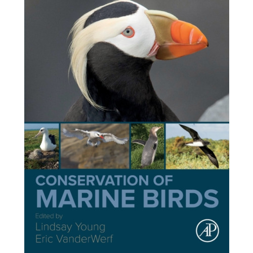 Elsevier Science & Technology Conservation of Marine Birds (häftad, eng)