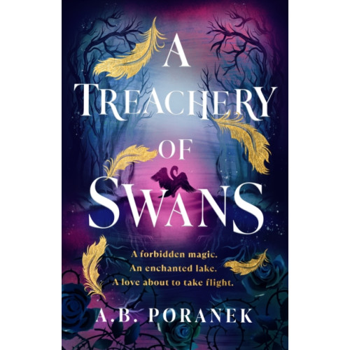 Penguin Random House Children's UK A Treachery of Swans (häftad, eng)