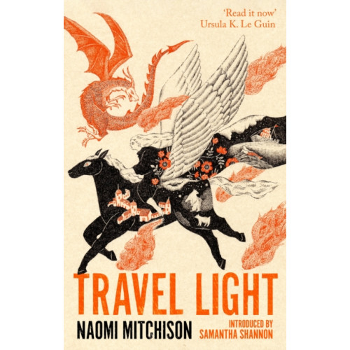 Little, Brown Book Group Travel Light (häftad, eng)