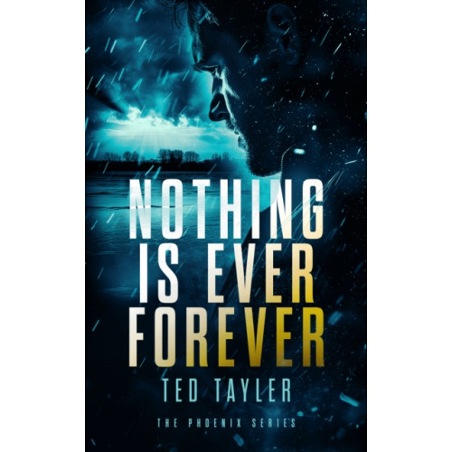 Vinci Books Nothing Is Ever Forever (häftad, eng)