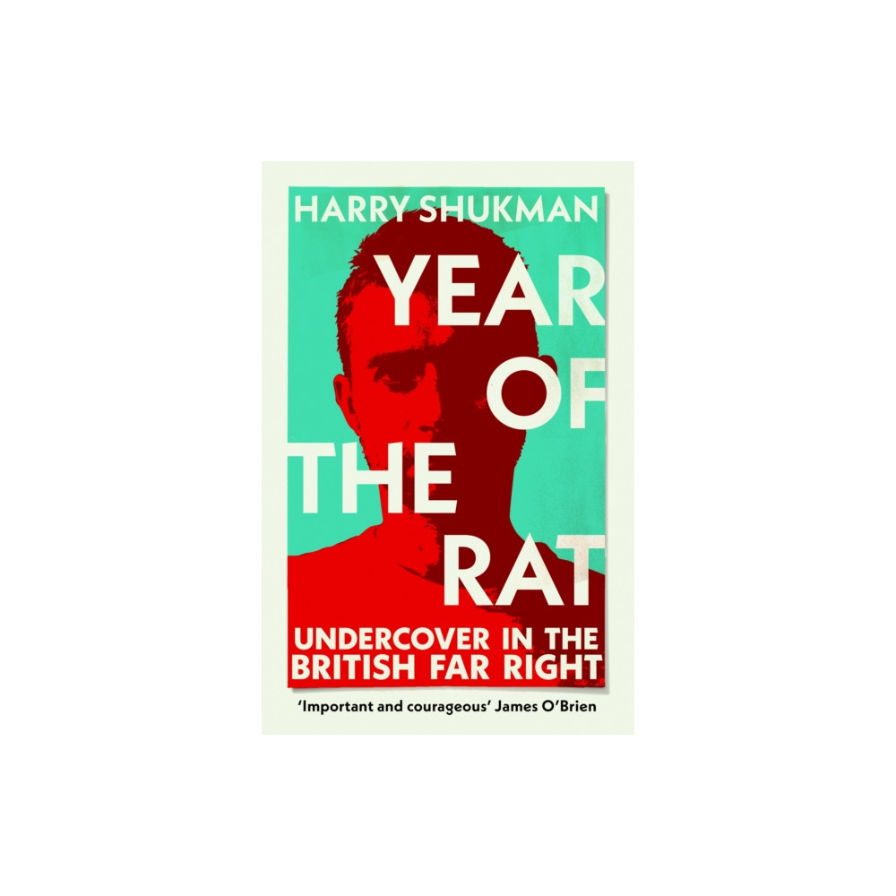 Produktbild för Year of the Rat (häftad, eng)