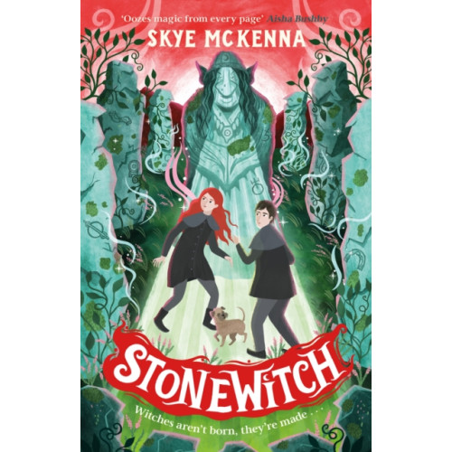 Hachette Children's Group Hedgewitch: Stonewitch (häftad, eng)