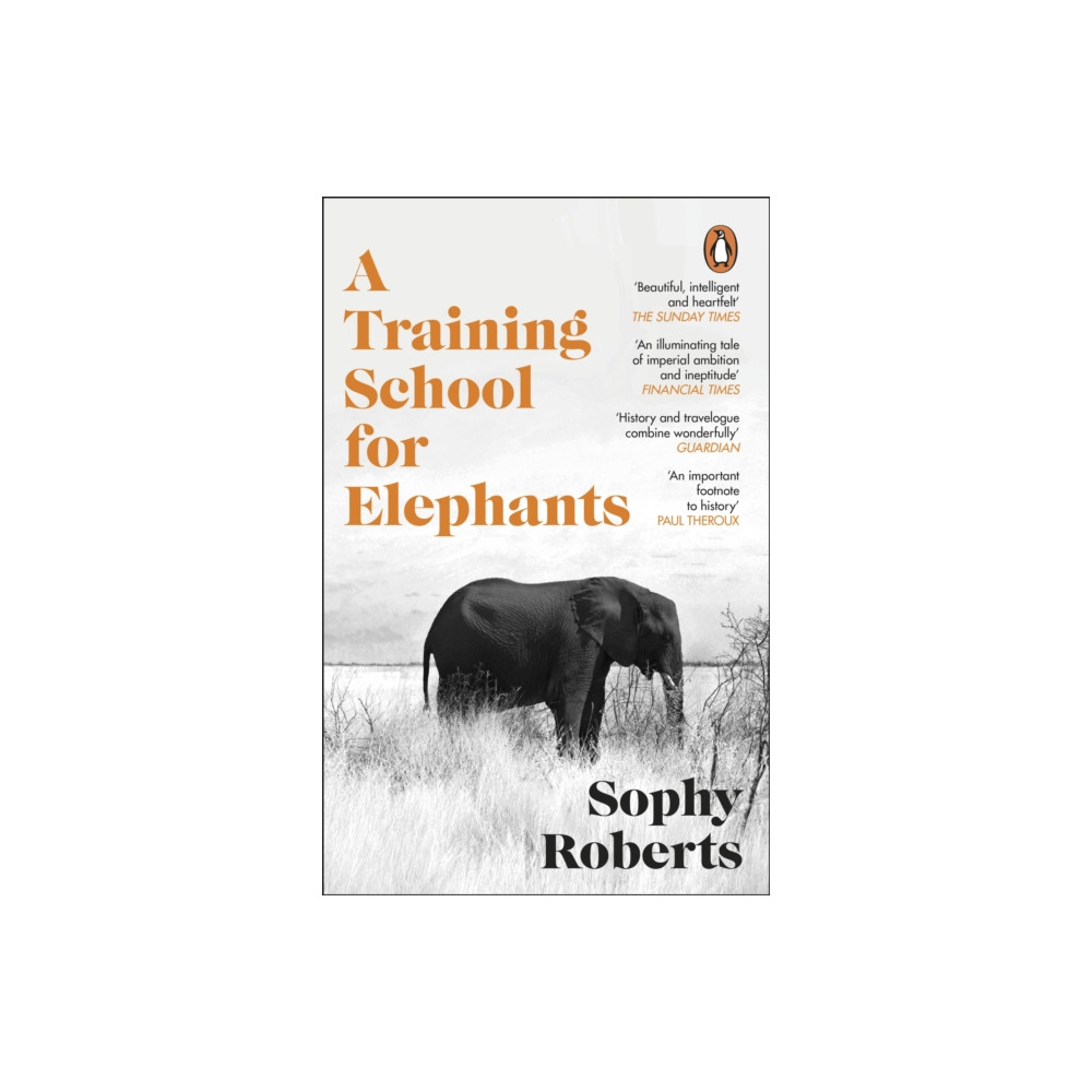 Produktbild för A Training School for Elephants (häftad, eng)