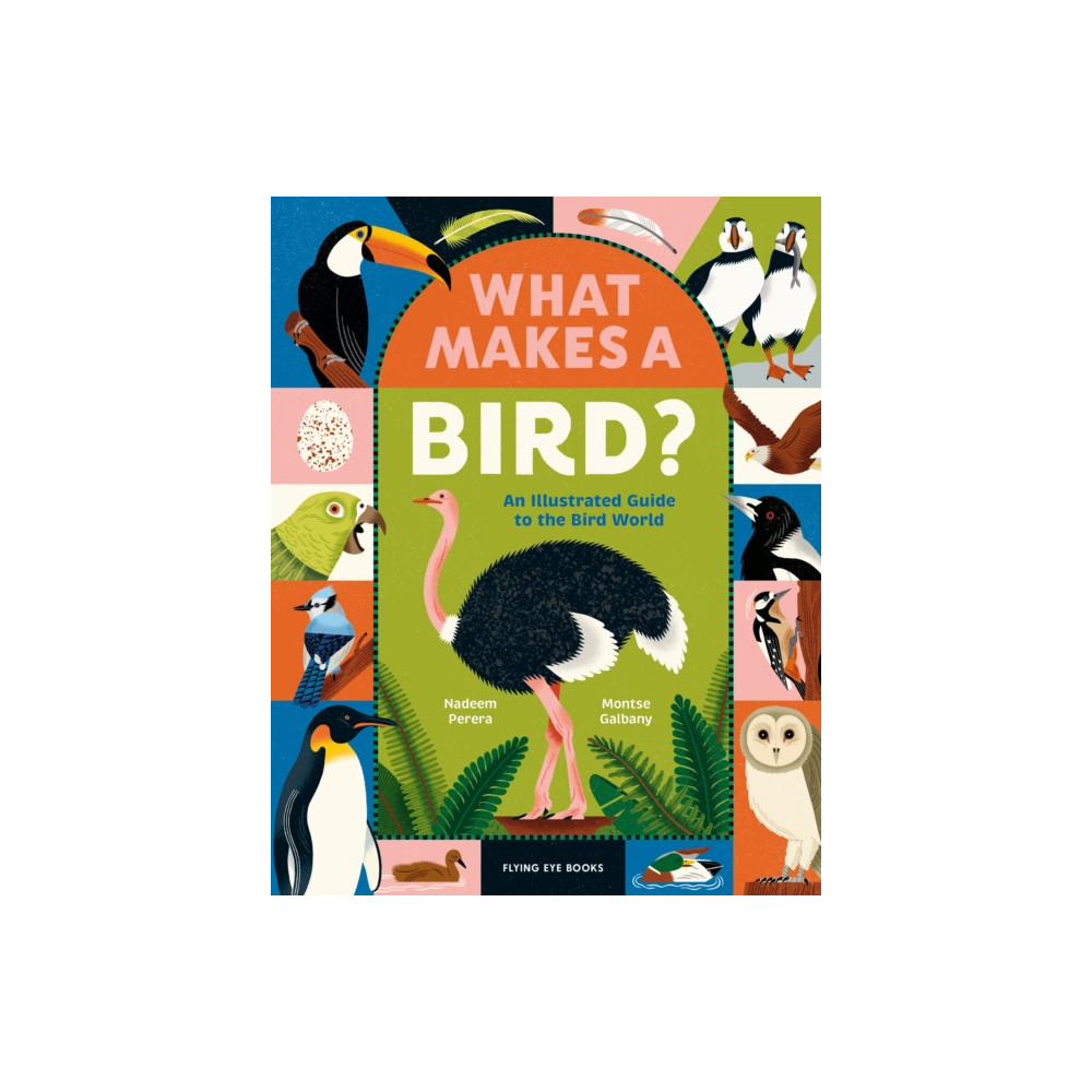 Produktbild för What Makes a Bird? (inbunden, eng)