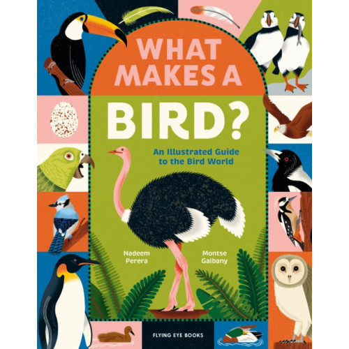 Flying Eye Books What Makes a Bird? (inbunden, eng)