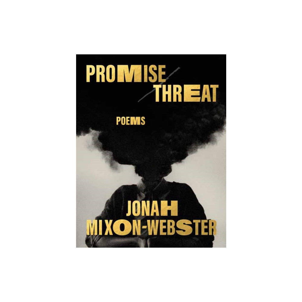 Produktbild för Promise/Threat (inbunden, eng)