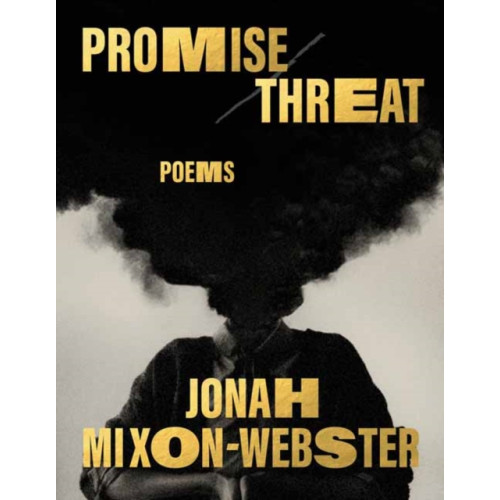 Random House USA Inc Promise/Threat (inbunden, eng)