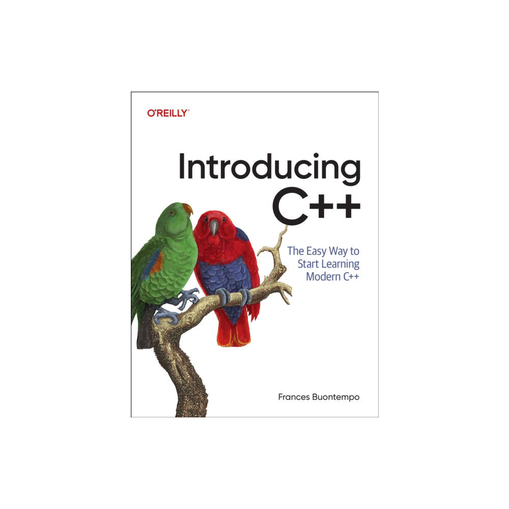 Produktbild för Introducing C++ (häftad, eng)