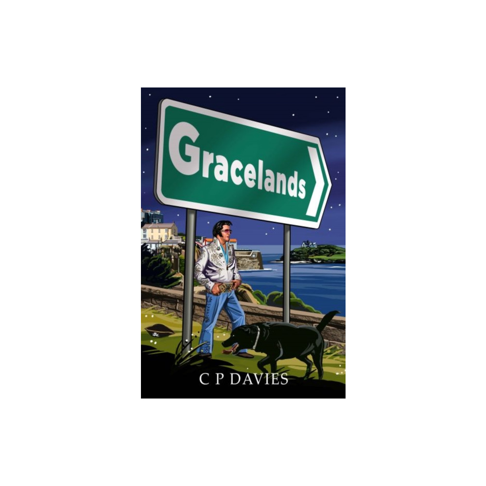 Produktbild för Gracelands (häftad, eng)