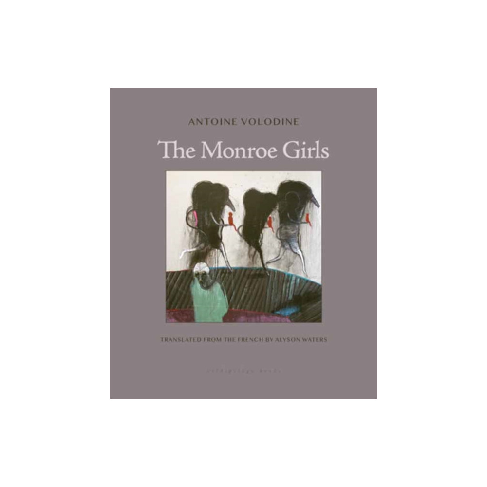 Produktbild för The Monroe Girls (häftad, eng)