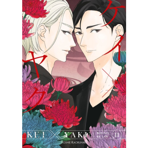 Kodansha America, Inc Kei X Yaku: Bound By Law 11 (häftad, eng)