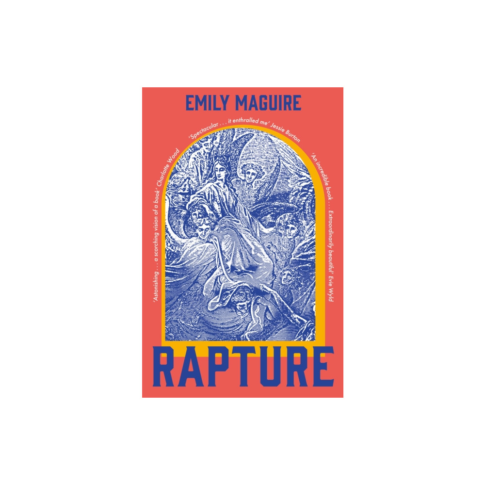 Produktbild för Rapture (häftad, eng)