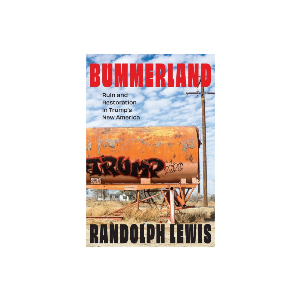 Produktbild för Bummerland (inbunden, eng)