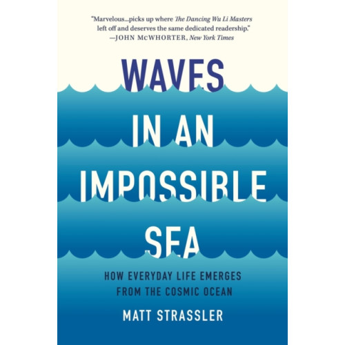Basic Books Waves in an Impossible Sea (häftad, eng)