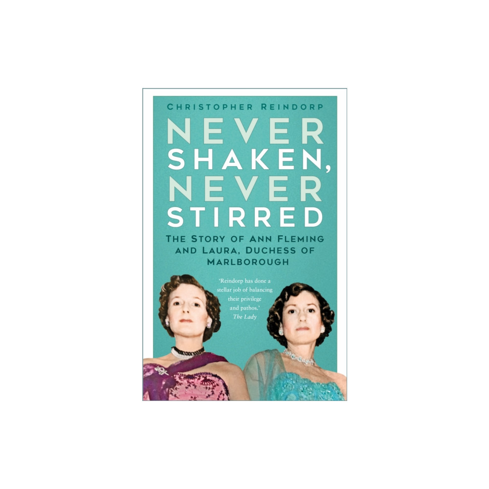 Produktbild för Never Shaken, Never Stirred (häftad, eng)