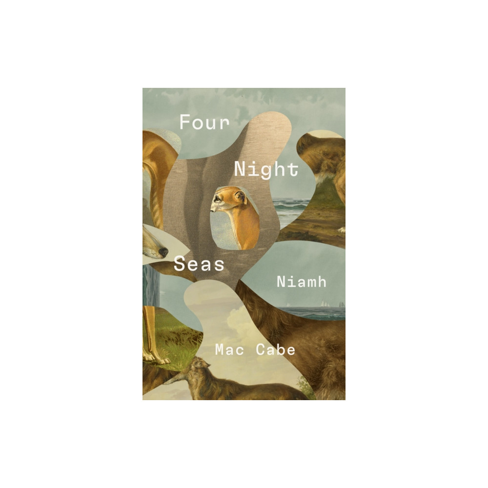 Produktbild för Four Night Seas (häftad, eng)