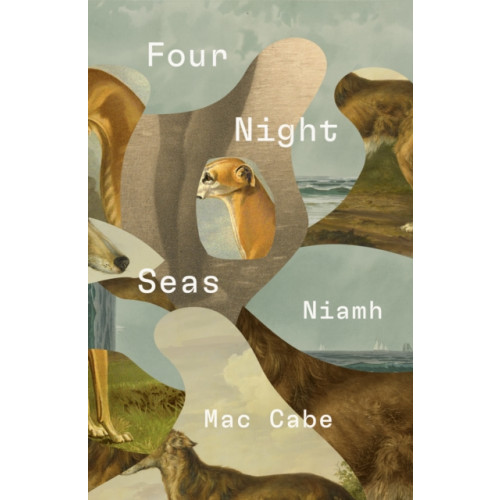 The Lilliput Press Ltd Four Night Seas (häftad, eng)