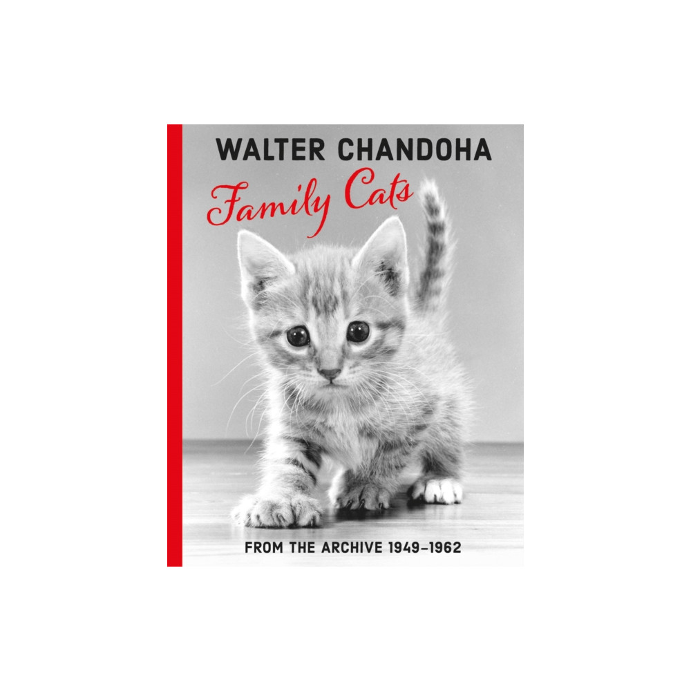 Produktbild för Walter Chandoha: Family Cats From the Archive 1949-1962 (häftad, eng)