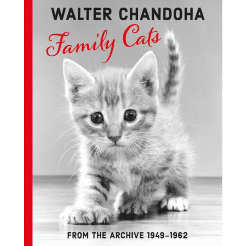 Damiani Walter Chandoha: Family Cats From the Archive 1949-1962 (häftad, eng)