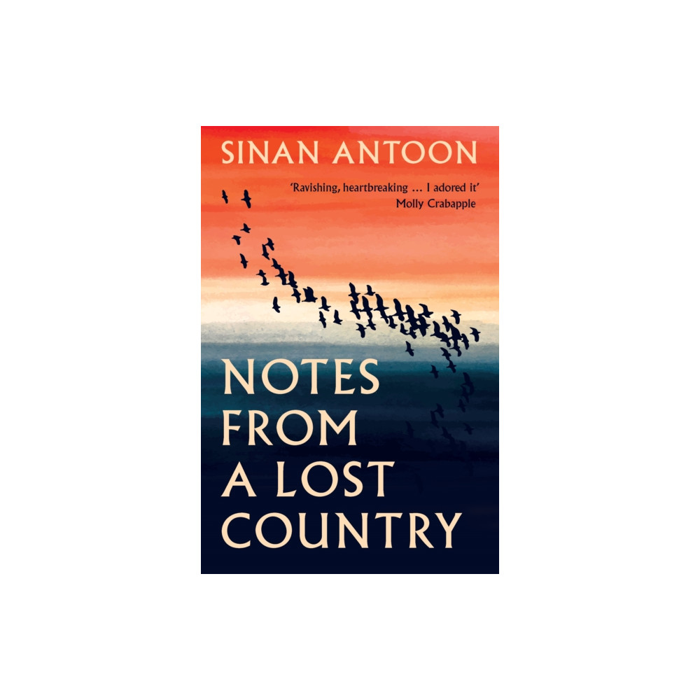 Produktbild för Notes from a Lost Country (inbunden, eng)