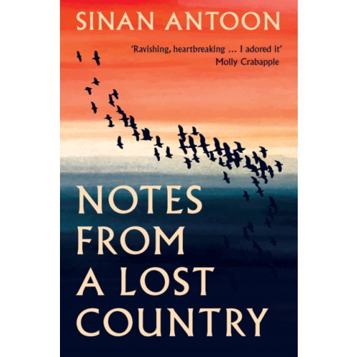 Saqi Books Notes from a Lost Country (inbunden, eng)