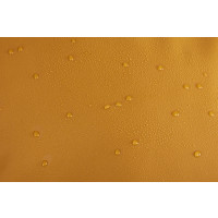 Produktbild för Thule Chasm TDSD301 Golden Brown, Brun, Guld, Camping, Sport...