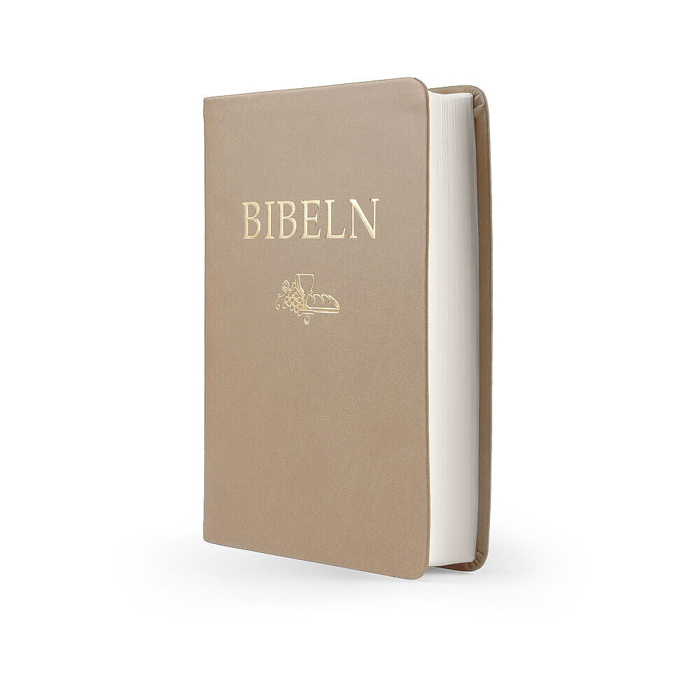 Produktbild för Bibeln SFB 2015, kompakt, brun skinnimitation (inbunden)
