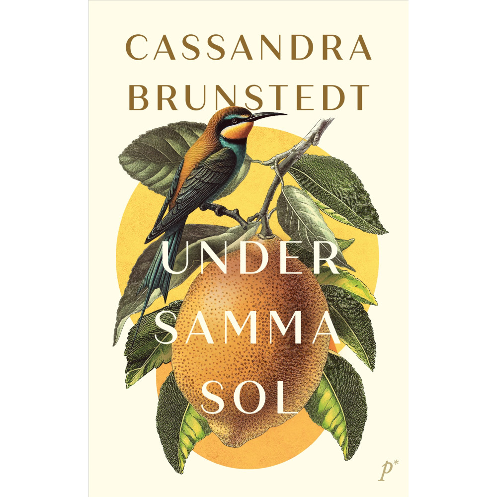 Produktbild för Under samma sol (inbunden)