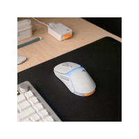 Produktbild för Glorious Gaming Model O3 Wireless, högerhand, Optisk, RF Trå...