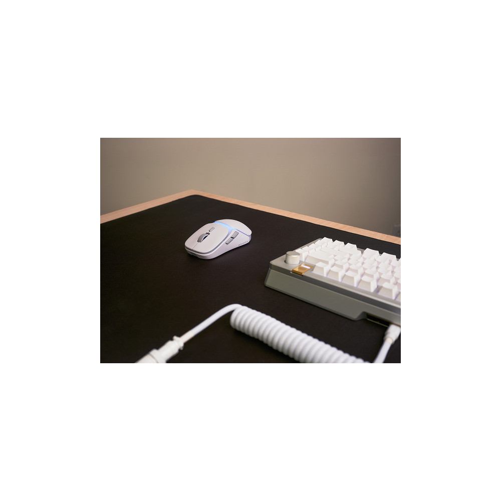 Produktbild för Glorious Gaming Model O3 Wireless, högerhand, Optisk, RF Trå...
