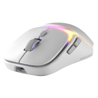 Produktbild för Glorious Gaming Model O3 Wireless, högerhand, Optisk, RF Trå...