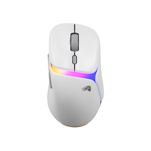 Glorious PC Gaming Race Glorious Gaming Model D3 Wireless, högerhand, Optisk, RF Trå...