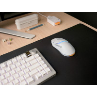 Produktbild för Glorious Gaming Model D3 Wireless, högerhand, Optisk, RF Trå...