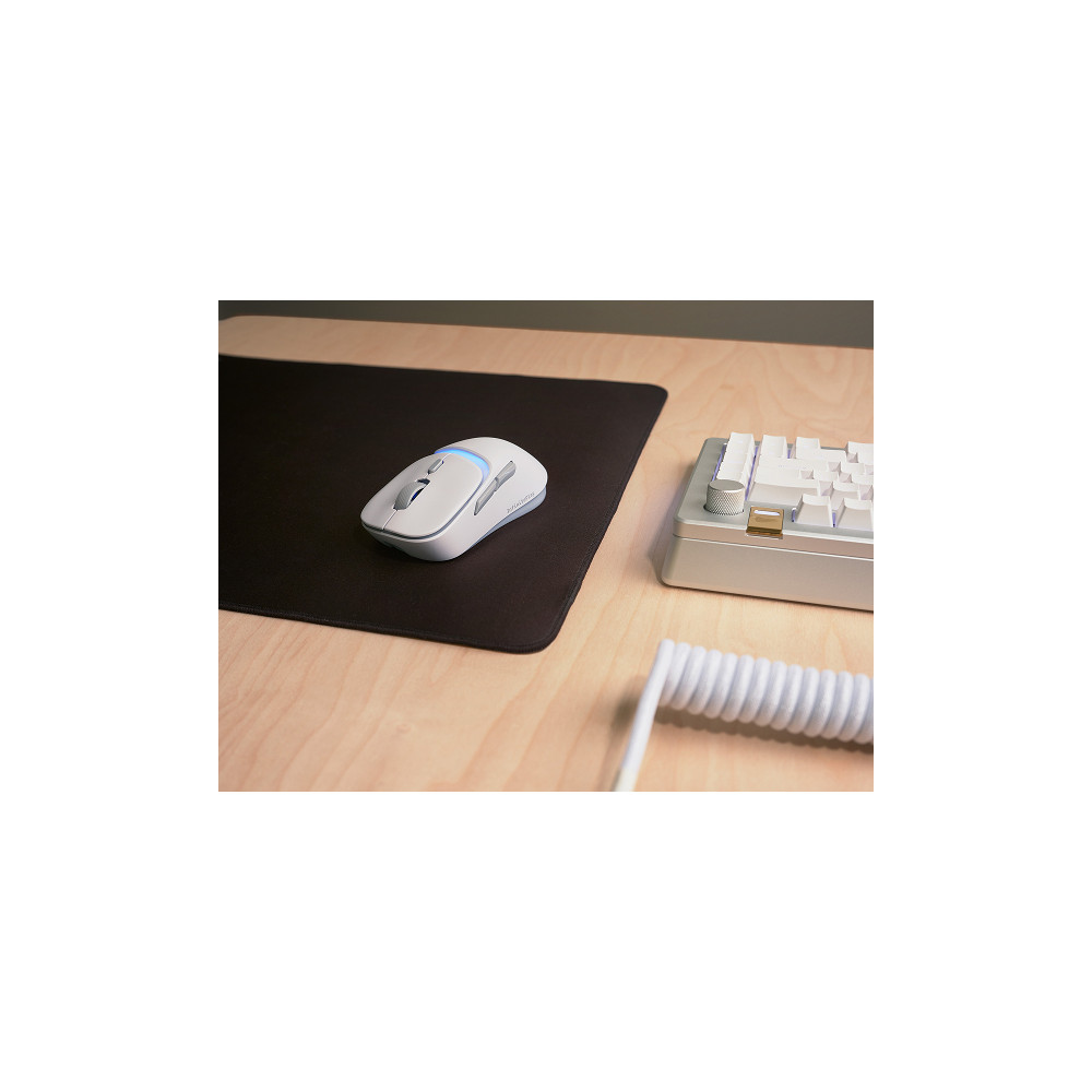 Produktbild för Glorious Gaming Model D3 Wireless, högerhand, Optisk, RF Trå...