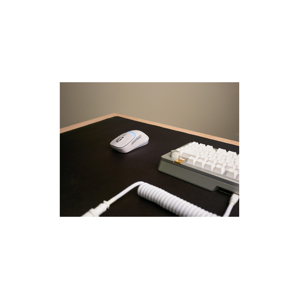 Produktbild för Glorious Gaming Model D3 Wireless, högerhand, Optisk, RF Trå...