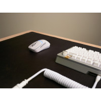 Produktbild för Glorious Gaming Model D3 Wireless, högerhand, Optisk, RF Trå...