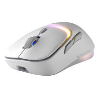 Produktbild för Glorious Gaming Model D3 Wireless, högerhand, Optisk, RF Trå...