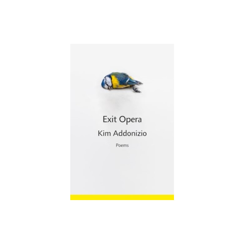 Produktbild för Exit Opera (inbunden, eng)