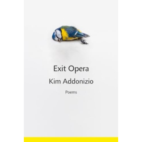 WW Norton & Co Exit Opera (inbunden, eng)