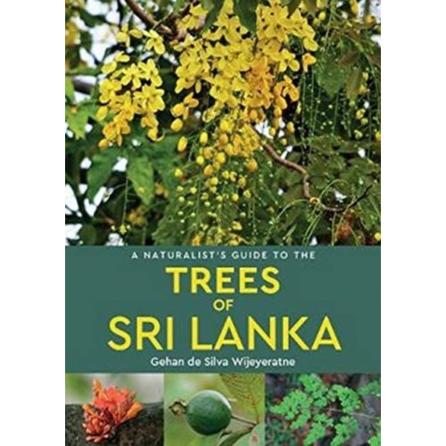 John Beaufoy Publishing Ltd A Naturalist's Guide to the Trees of Sri Lanka (häftad, eng)