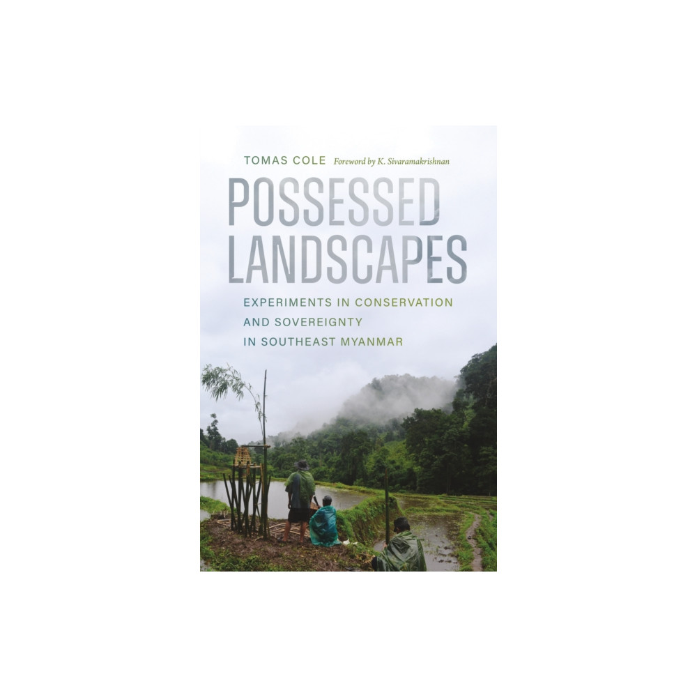 Produktbild för Possessed Landscapes (häftad, eng)