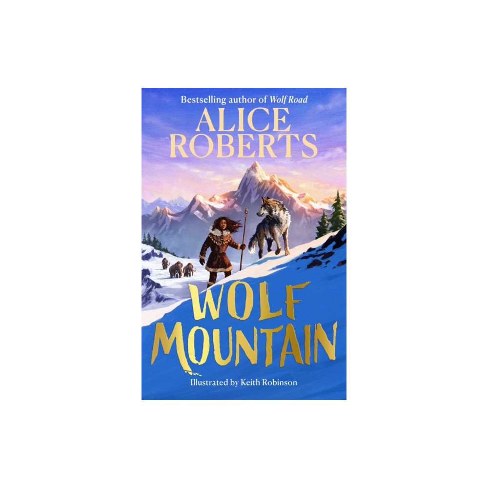 Produktbild för Wolf Mountain (häftad, eng)